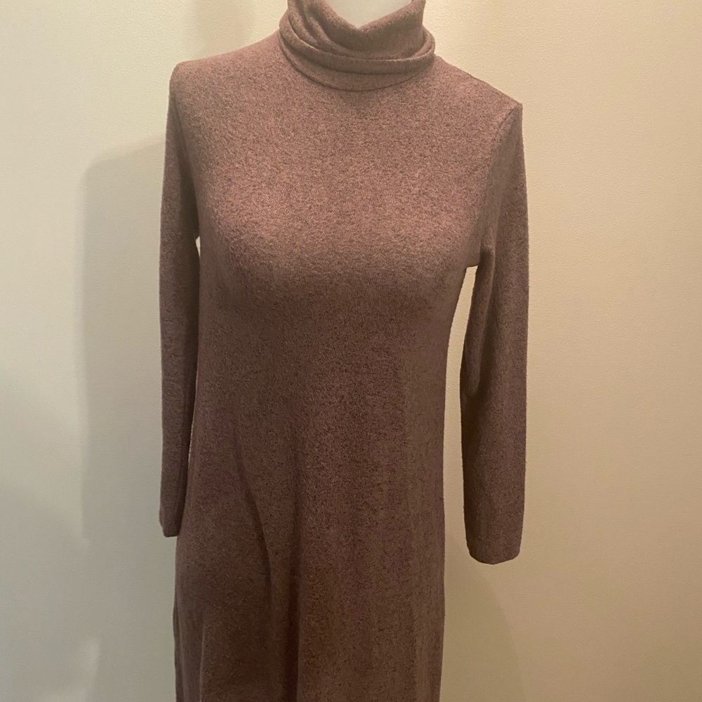 American Eagle Turtleneck Dress